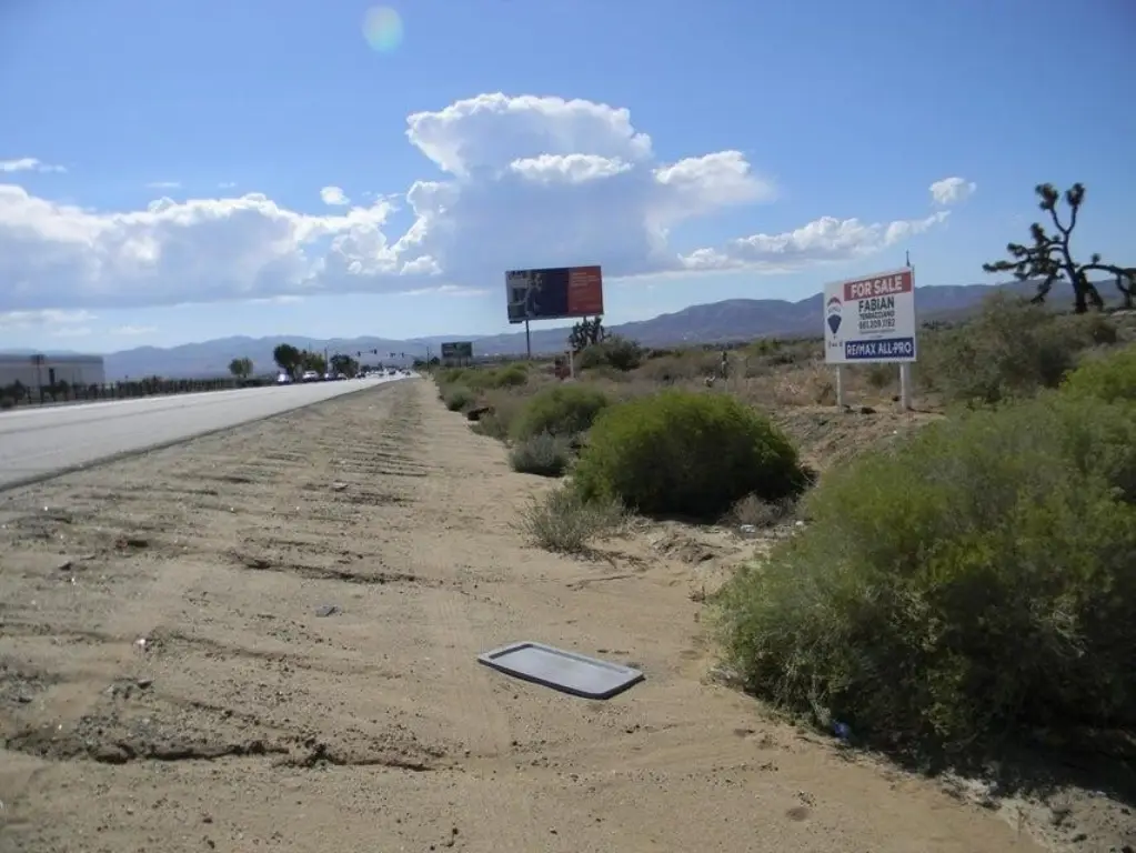 Picture 6