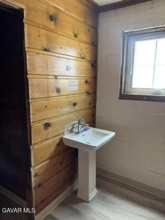 Picture 15