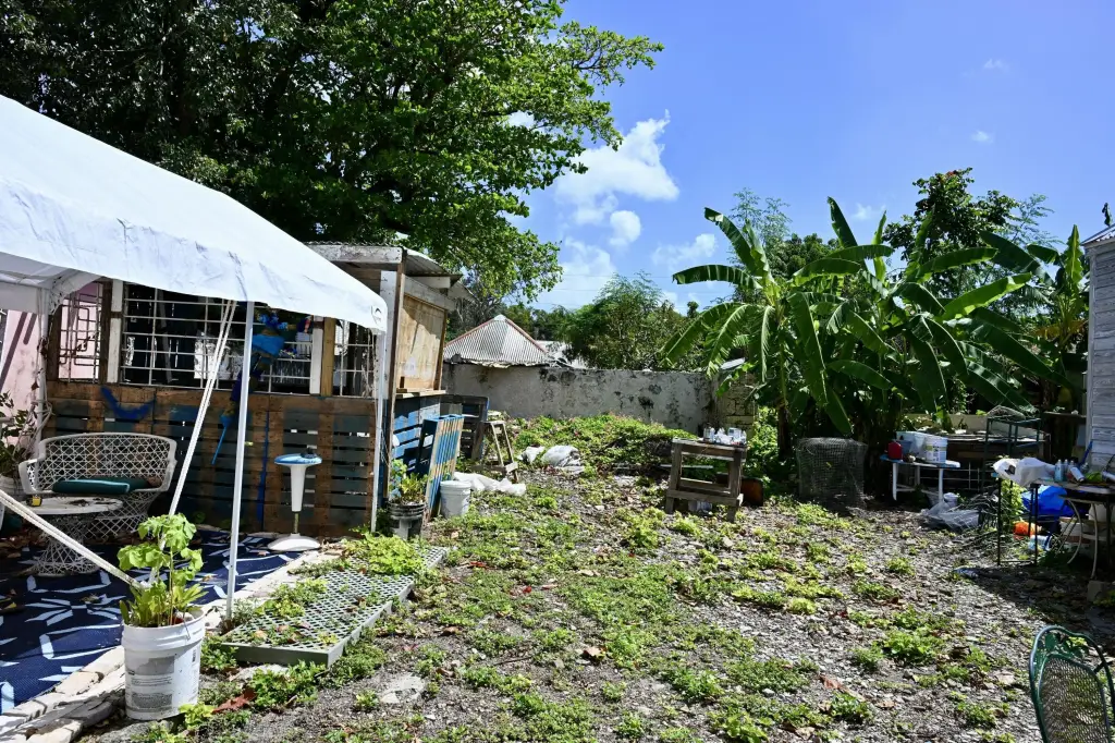 Picture 9