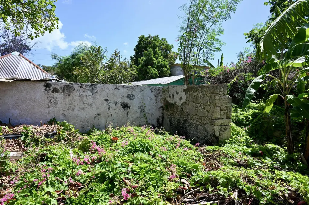 Picture 20