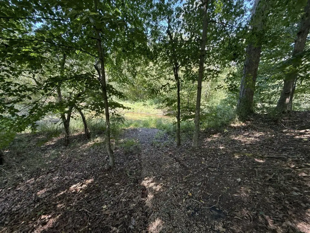 Picture 24