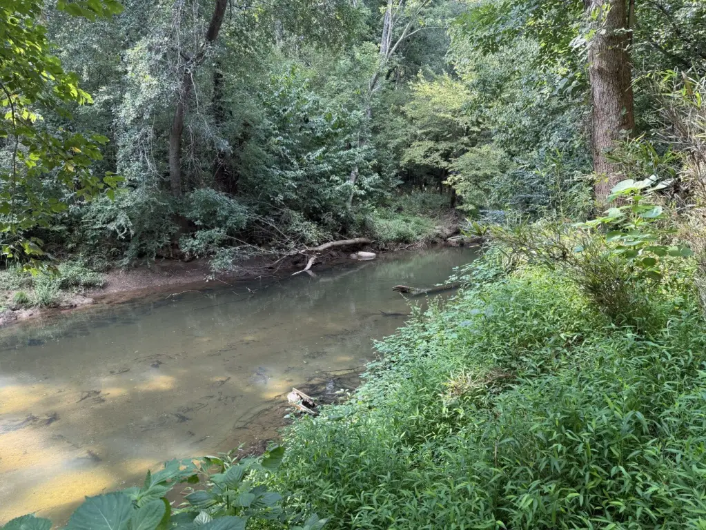 Picture 16