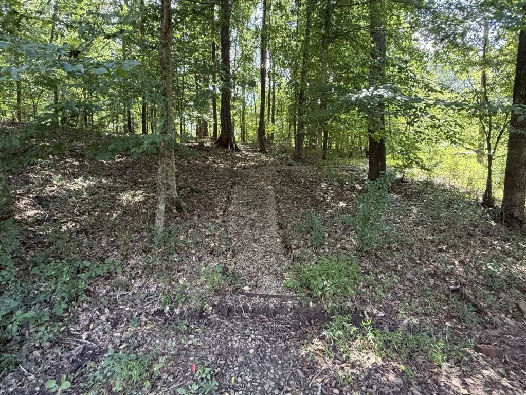 Picture 25