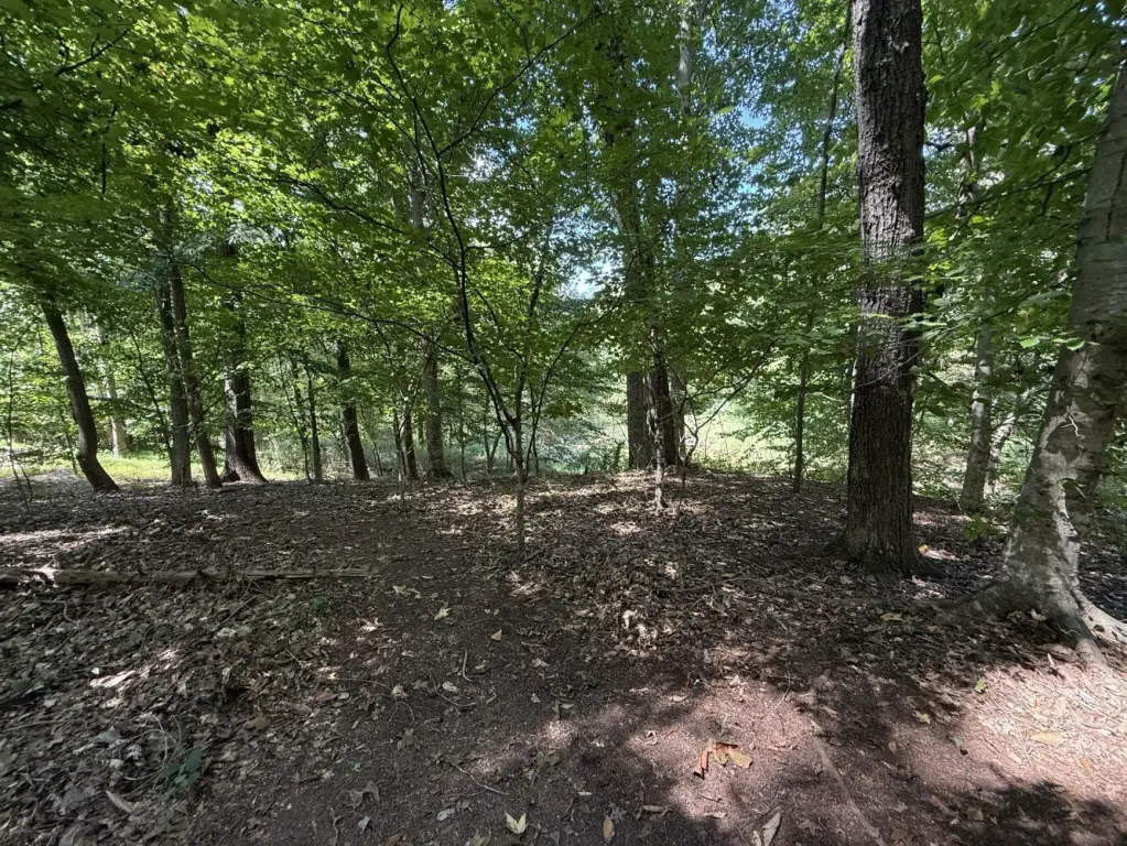Picture 21