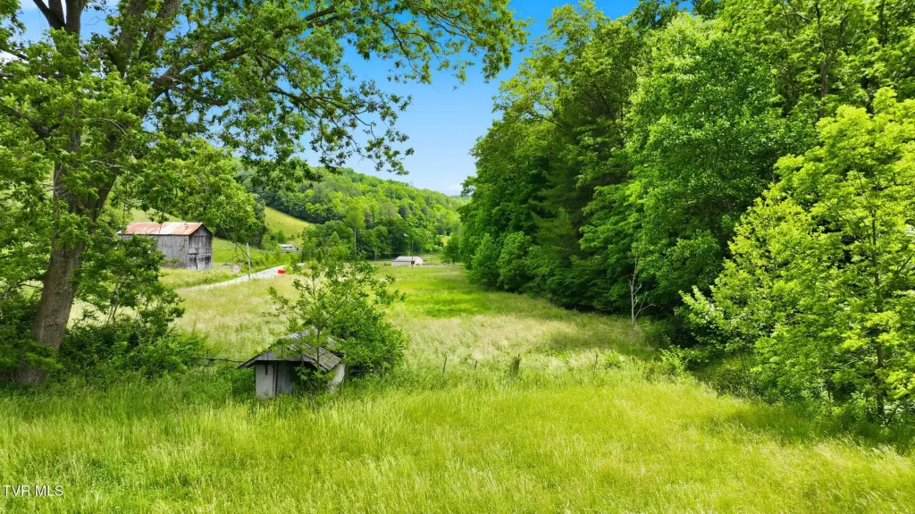 Picture 28