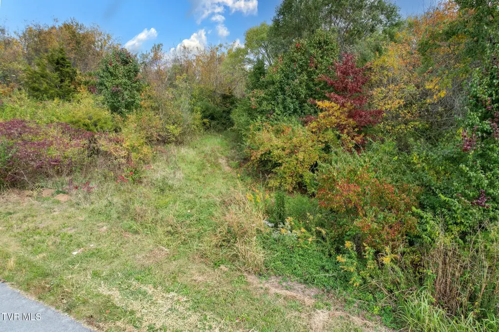Picture 17