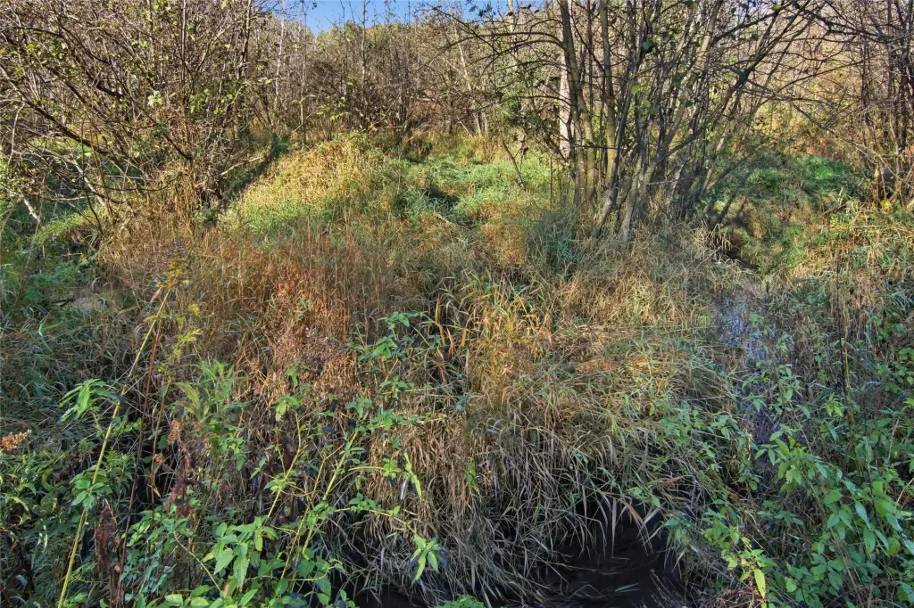 Picture 46