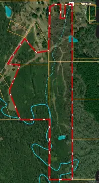 73 Acres Recreational Land, Arkansas