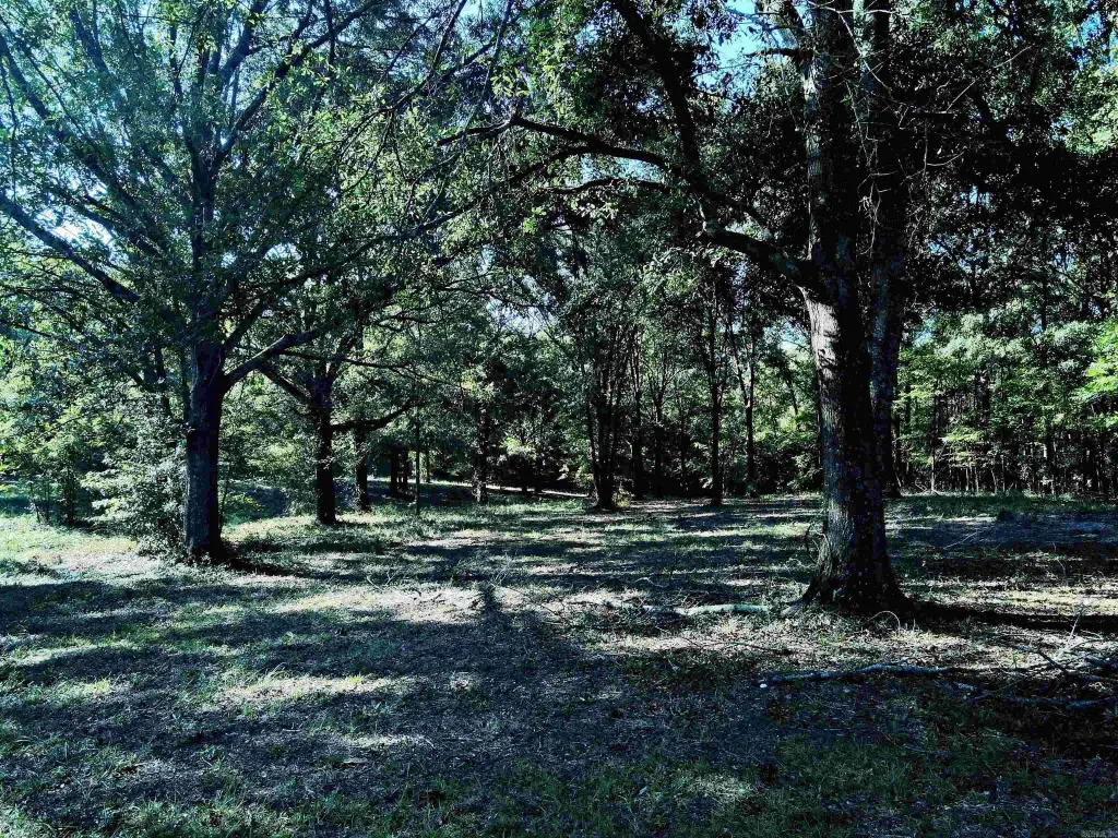 Picture 9