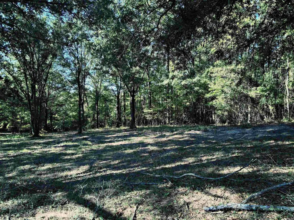 Picture 15
