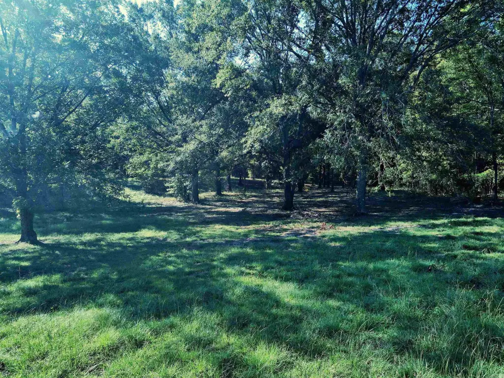 Picture 16