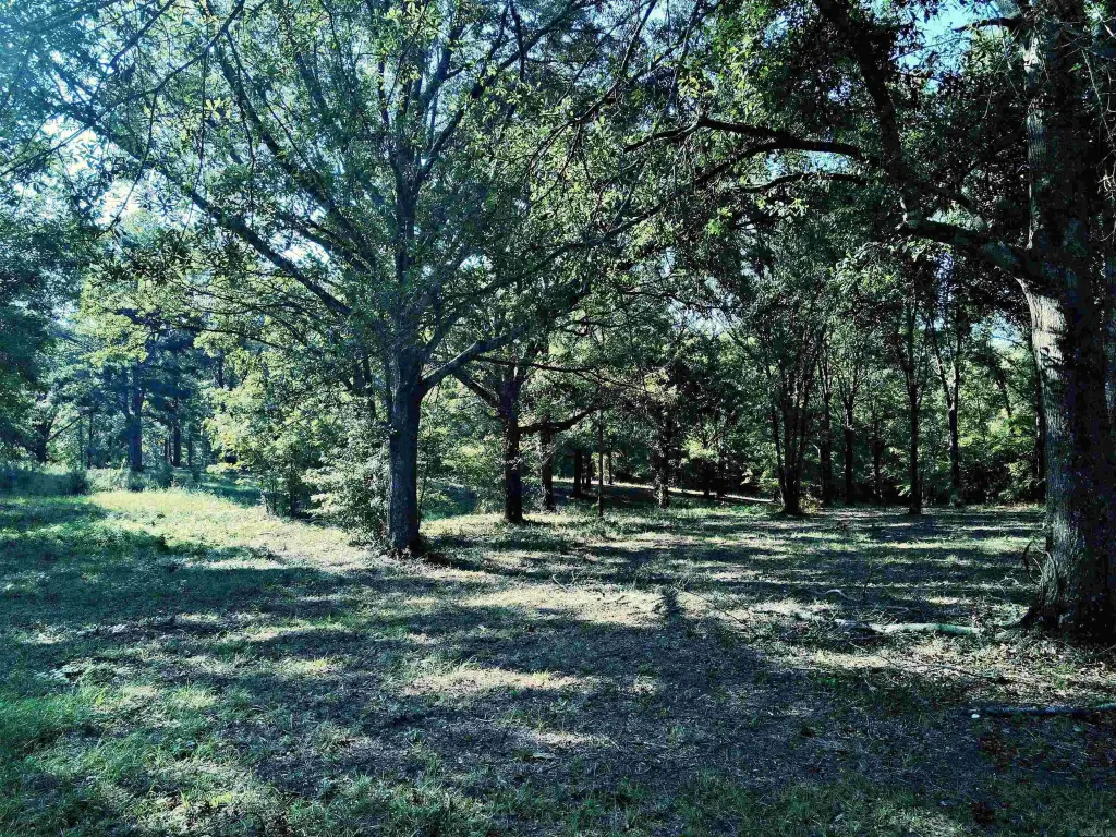 Picture 11