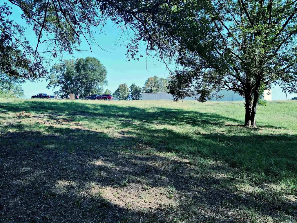 Picture 14
