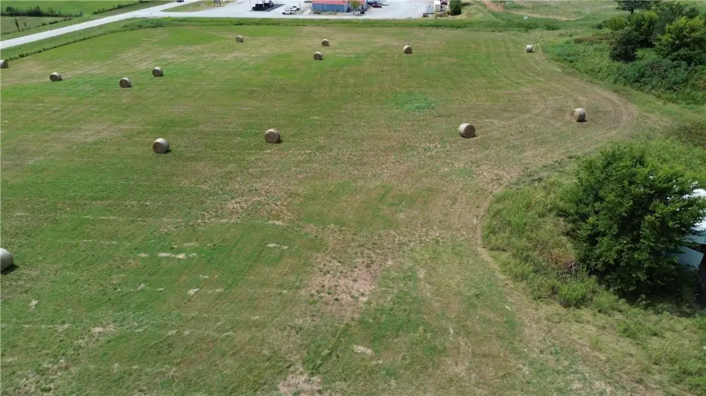 Picture 5