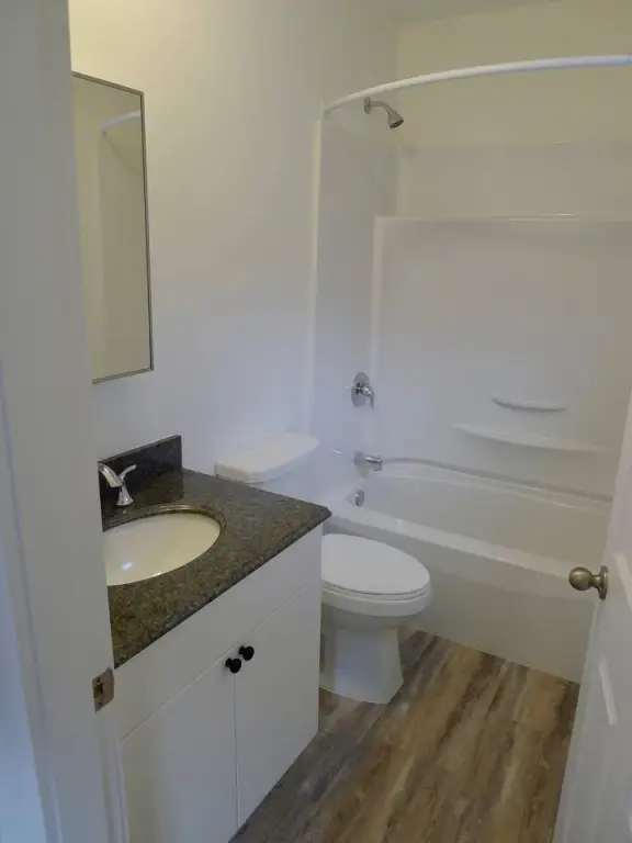 Picture 4