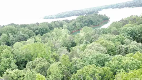 Lake Hartwell Waterfront Acreage