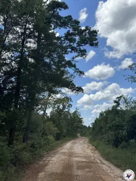 East Texas Land Opportunity
