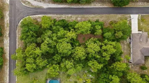 Residential Lot in Alva, Florida