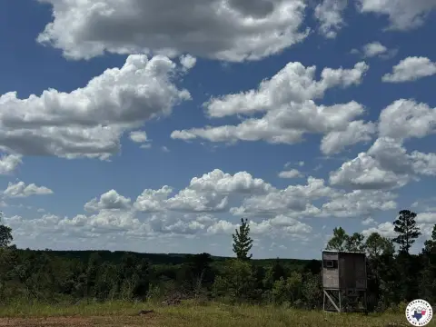 88.5 Acres of East Texas Land