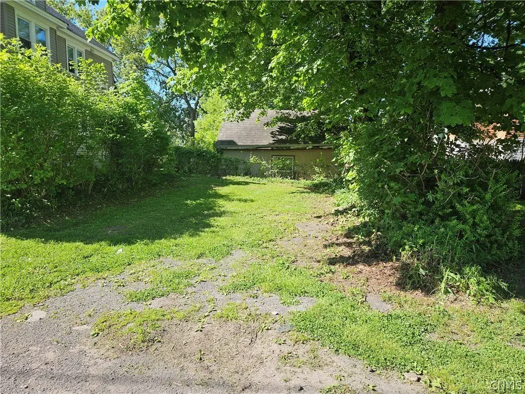 Picture 21