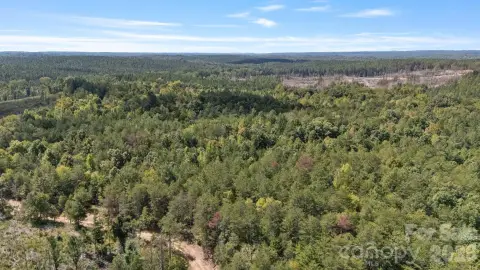 Hunting Land with Creek