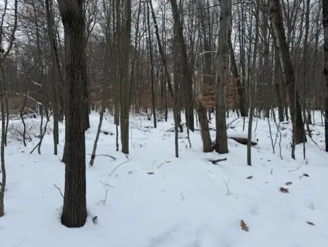 Wooded Lot in Canadian Lakes