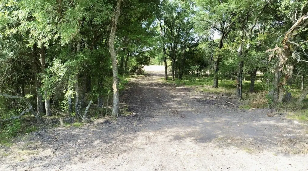 Picture 7