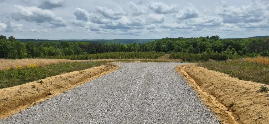 Picture 21