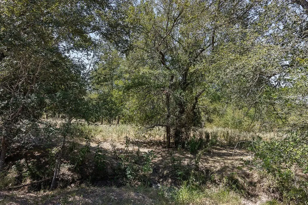 Picture 18