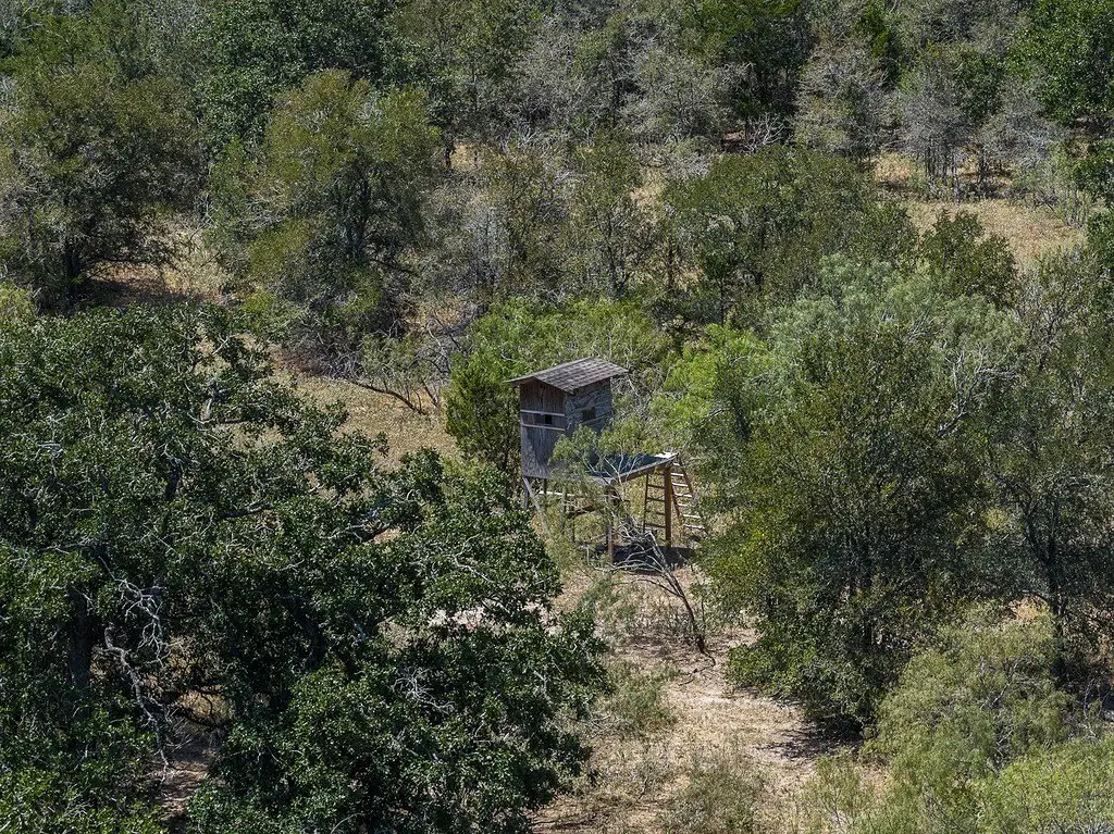 Picture 25