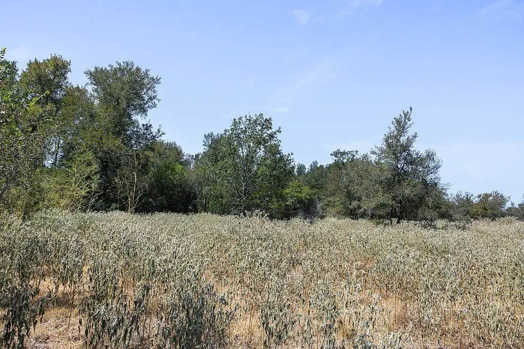 Picture 17