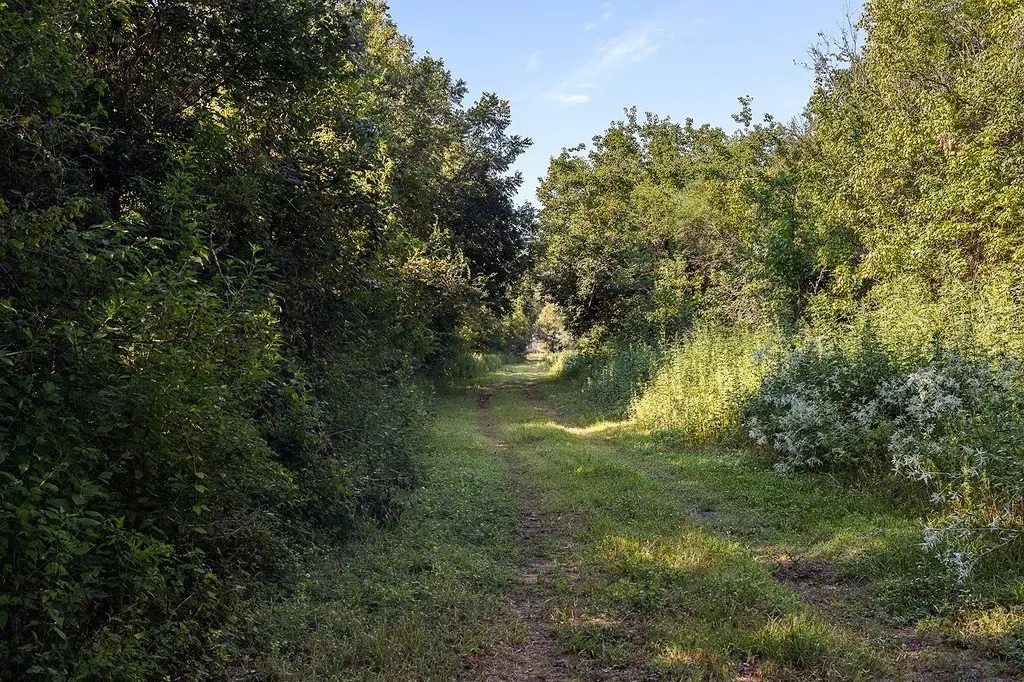 Picture 19