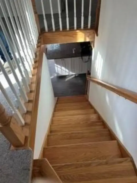 Picture 21
