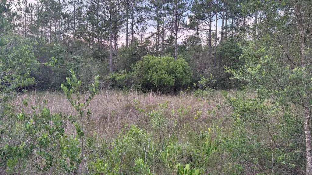 Picture 31