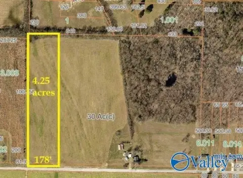 4.25 Acre Tract in Elkmont