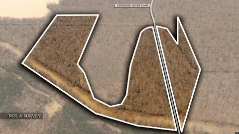 Greenfield, TN Timber Tract