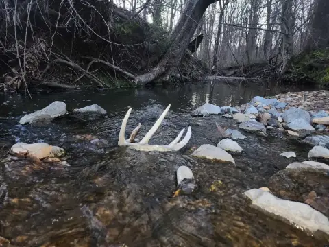 Union City Farm Land For Sale