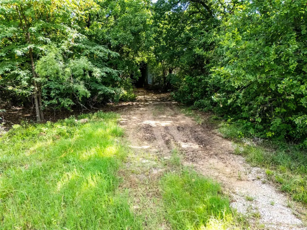 Picture 29
