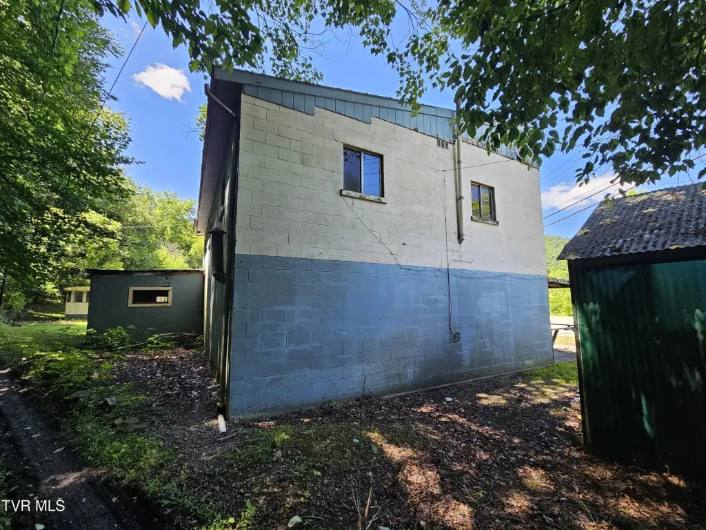 Picture 6