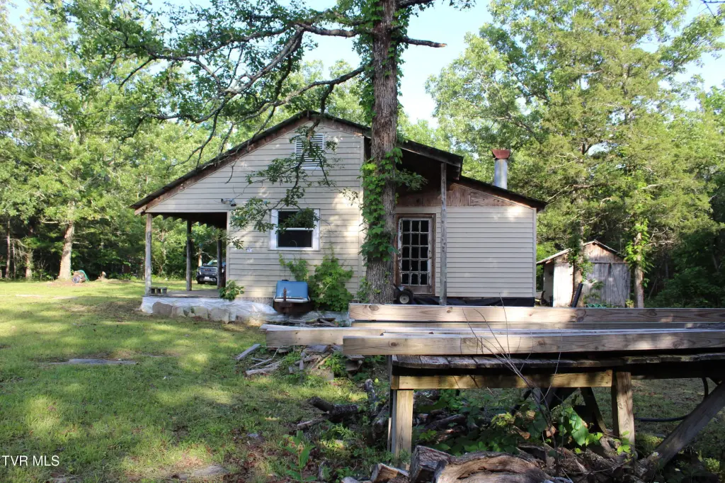 Picture 16