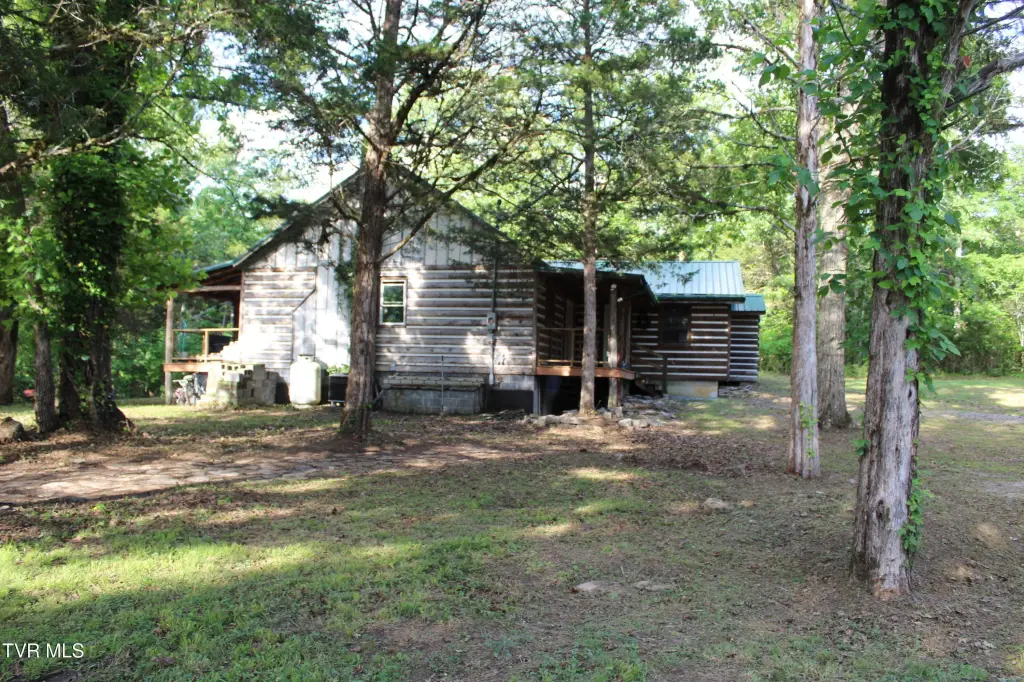 Picture 5