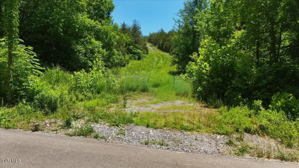 Picture 17