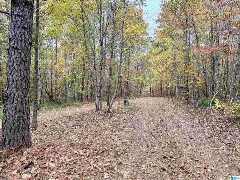 Sylacauga Hunting Retreat with Cabin