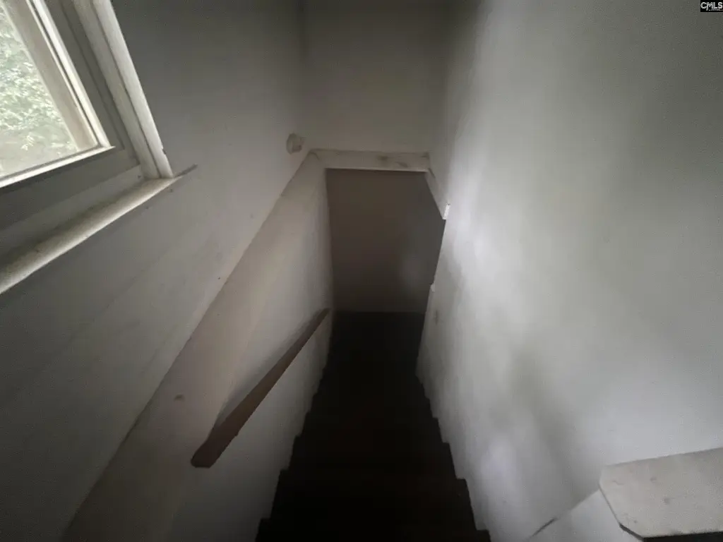 Picture 24