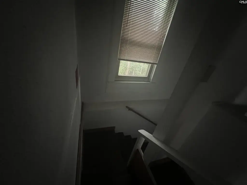 Picture 23