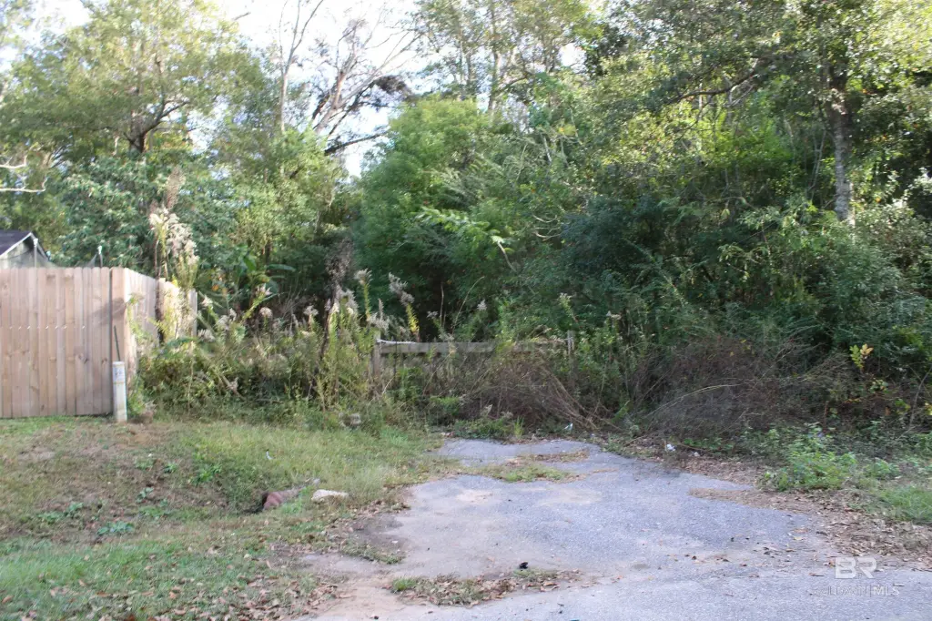 Picture 17