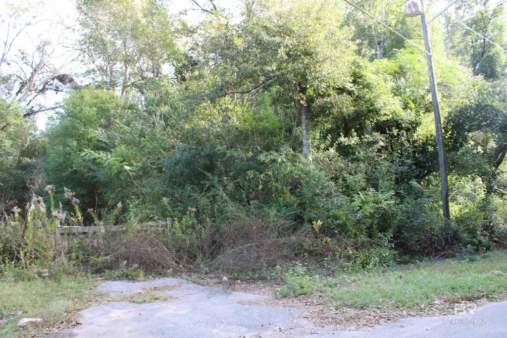 Picture 23