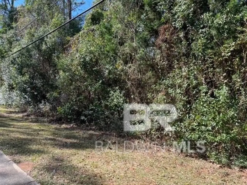 Picture 12