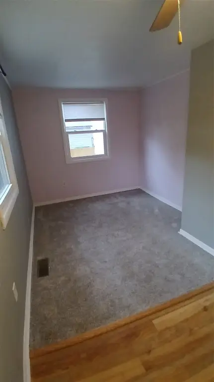Picture 7