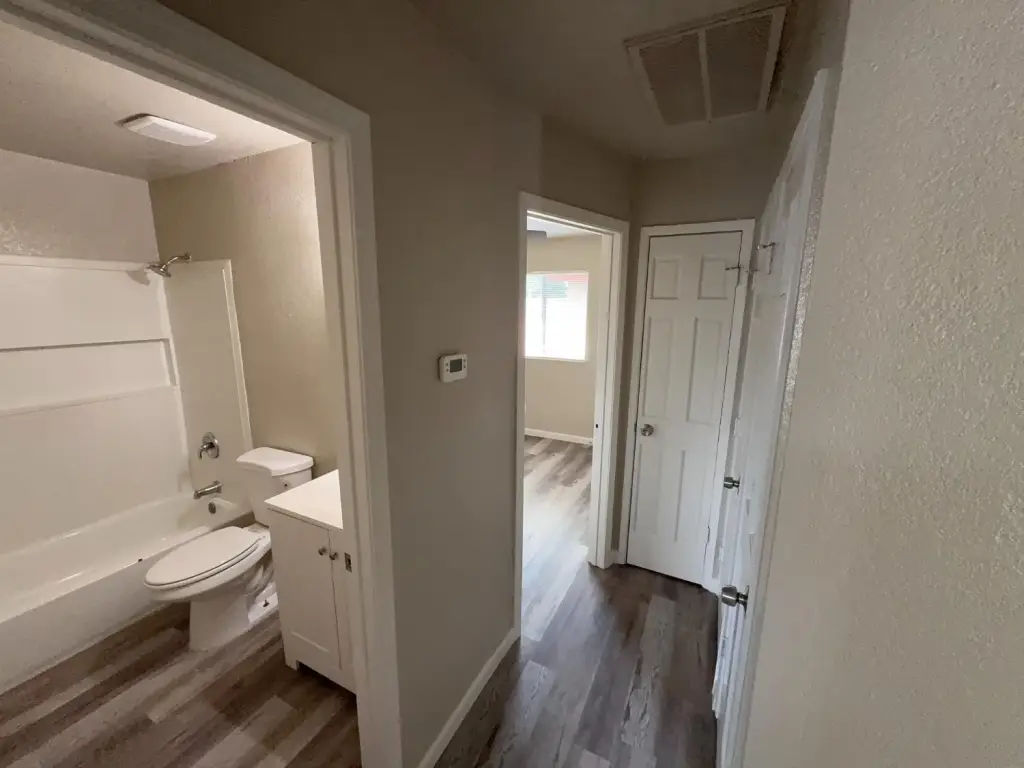 Picture 15